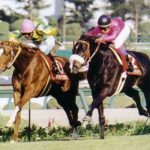 現地で観戦した一番の名レース教えて