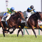 【悲報】ダービー馬 4歳と9歳しかいない
