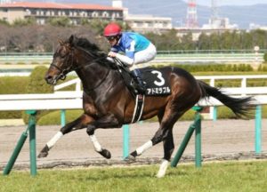 なぜ青葉賞を勝った馬はダービーを勝てないのか?