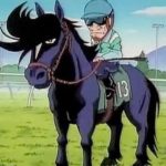 カスケード「強いけど大一番で勝てません、10万頭に1頭の病気になりました」←こいつが大人気な理由