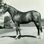 三大「競馬の歴史を変えた馬」と言えば、ヒンドスタン、サンデー、シーザリオ、あと一頭は?