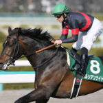 デムーロの力でマイルCS勝たせたと思われてたペルシアンナイトww