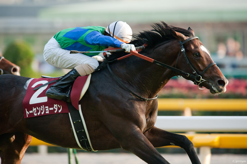 芝00の歴代最強馬は