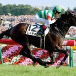 ダービーの日に社員旅行的なのに参加させられることになった