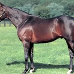 なぜディープの後継種牡馬は生産者から敬遠されるのか