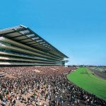 競馬に詳しい人!