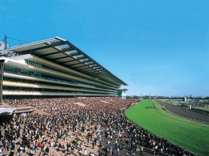 東京G1複数制覇←うおおお!!!グランプリ複数制覇←あっ...うん...