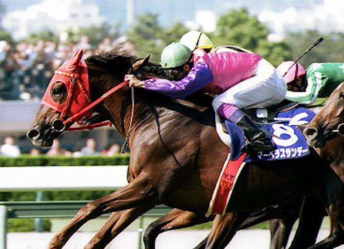 マーベラスサンデーについて知ってること