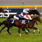 今年のジャパンカップ、もはやG2だろ！