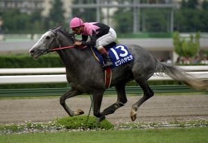 「見たかった対決」←真っ先に思い浮かんだのは?