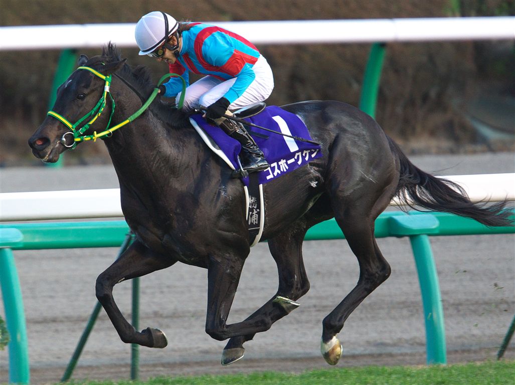 超早熟馬と聞いて思いついた馬