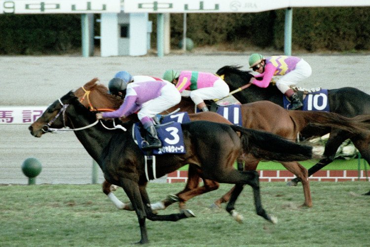 【99有馬記念】スペシャルウィーク武「グラス差し切った」→ガッツポーズ→豊コール→結果・・