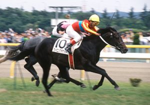 1番カッコいい名前のG1ホース