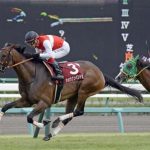 何故３歳馬はオールカマーを使わないの？