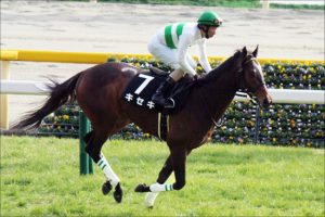 ジャパンカップ ◎キセキ