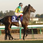 あまり語られないがゼンノロブロイって強かったの?