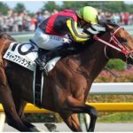 【血統考察】ディープブリランテってなんなの