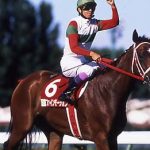 ファインモーションとかいう繁殖のため輸入したのに競走馬として活躍した馬