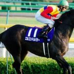 競馬マニアからはエルコンドルパサーが史上最強馬って意見がマジョリティなのがよくわからん