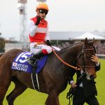 めちゃくちゃ強いわけじゃないのに牝馬でジャパンカップを勝ったショウナンパンドラ