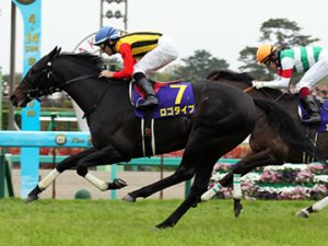 最弱G13勝馬が決定した件www
