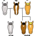 血統とデータを考察するから俺は誰よりも本質を見抜ける