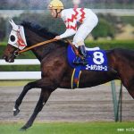 歴代の日本馬の中で一番の良血と言える馬は何？