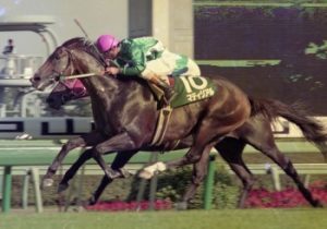 何十年も昔の馬なのに今風な名前の馬