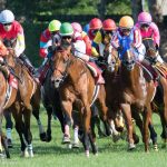 【悲報】札幌記念のメンツがショボ過ぎる件