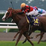 「菊花賞馬」と聞いて真っ先に思いつく馬