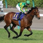 サトノダイヤモンドというルメールにも川田にも捨てられた馬