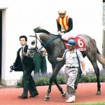 お前らが競馬見始めた頃の芦毛の馬
