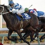 シャドーロールで3番目に思いつく馬、9割の人間が一致する