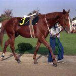 ビゼンニシキについて知っていること