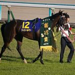 フィエールマンはエネイブルに勝てるのか