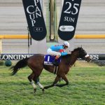 じゃあ聞くけどアーモンドアイが有馬に出てたら勝ててたと思うの?