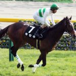 キセキ(7)の今年の成績www