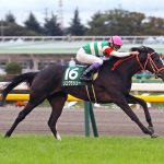 早熟かと思ったら晩成だった馬