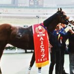 一瞬だけ勢いがスゴかった地味な馬（ダート馬お断り×）