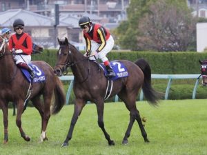 ルメール「グランアレグリアはオークスでは難しそう」www