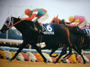 たとえ何万回過去に戻っても絶対に当てられないレースは？