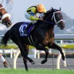 ステイゴールド種牡馬大成功