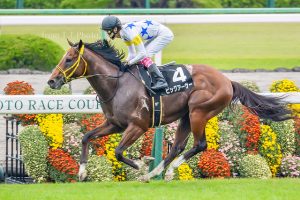 競馬を始めた頃に条件戦を連勝してて記憶に残ってる馬