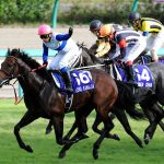 ロードカナロアは将来的に史上最強の種牡馬になるんじゃないか?!