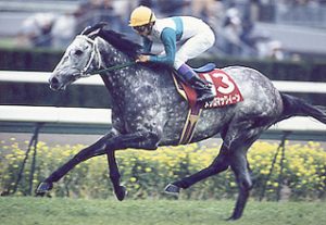 平成三大ステイヤー、メジロマックイーン、ライスシャワー、