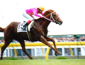 ミホノブルボンが種牡馬成功しなかった理由がどうしても分からない