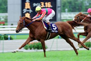 テイエムオペラオーのベストレース