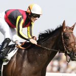 なぜキングカメハメハ産駒がクラシック勝った年はレベルが低いのか？