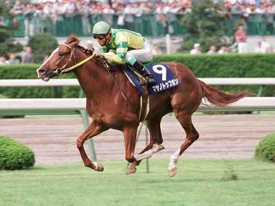 最近減っている栗毛で思い浮かぶ馬