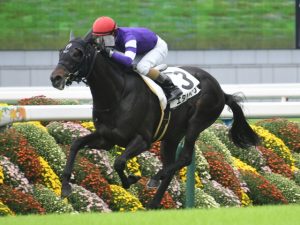 あぁいたな、ってなる馬名挙げたやつ優勝